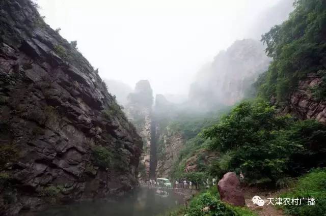 蓟州梨木台风景区旅游攻略自驾游,蓟州九龙山和梨木台是一个地方吗