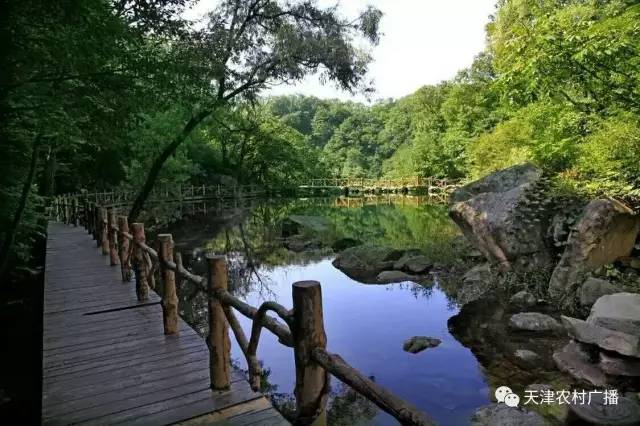 蓟州梨木台风景区旅游攻略自驾游,蓟州九龙山和梨木台是一个地方吗