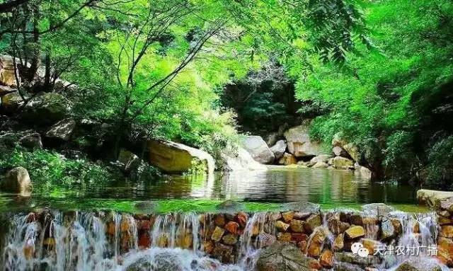 蓟州梨木台风景区旅游攻略自驾游,蓟州九龙山和梨木台是一个地方吗