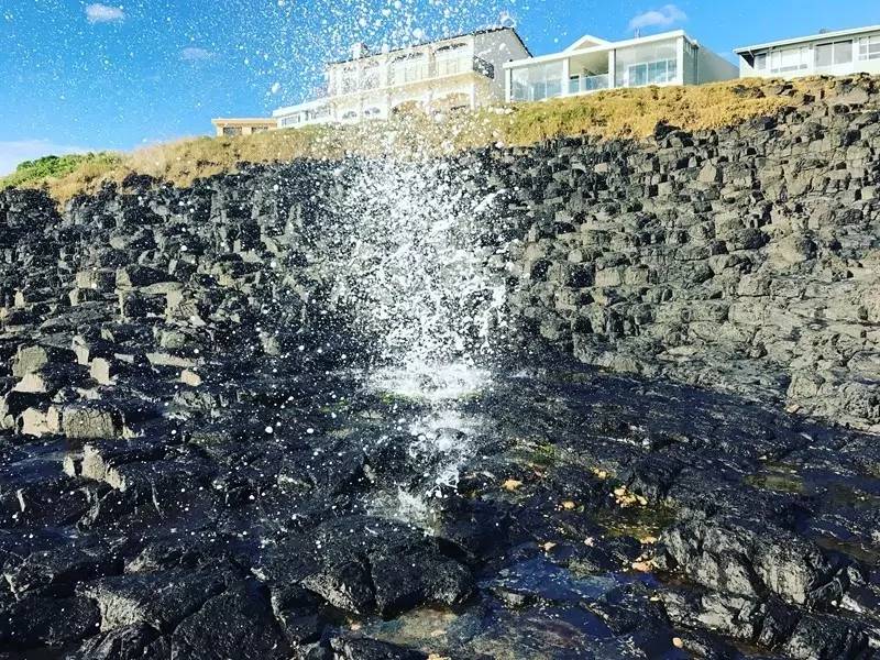 当一只“反季候鸟“，直飞到悉尼过冬天买UGG，是成都人今年暑假新玩法！