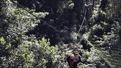 当一只“反季候鸟“，直飞到悉尼过冬天买UGG，是成都人今年暑假新玩法！