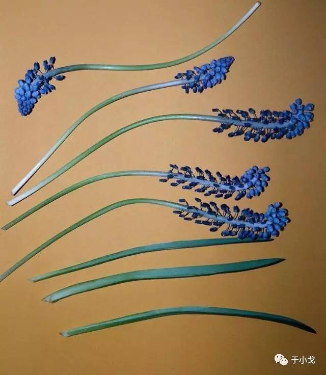 断舍离你认为你最该扔掉的东西,断舍离后你的东西变少了吗