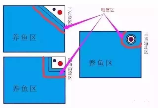 鱼缸用虹吸吸便的效果怎么样,底滤鱼缸吸便能力差