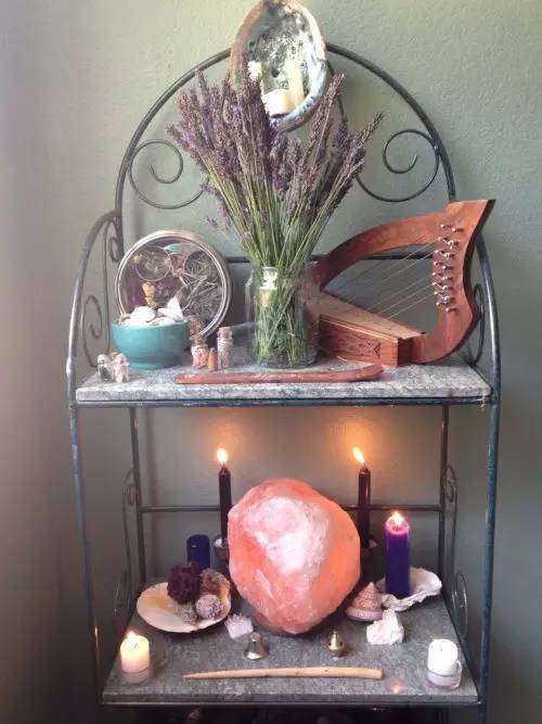 百草园有什么药材,百草园里面有什么草