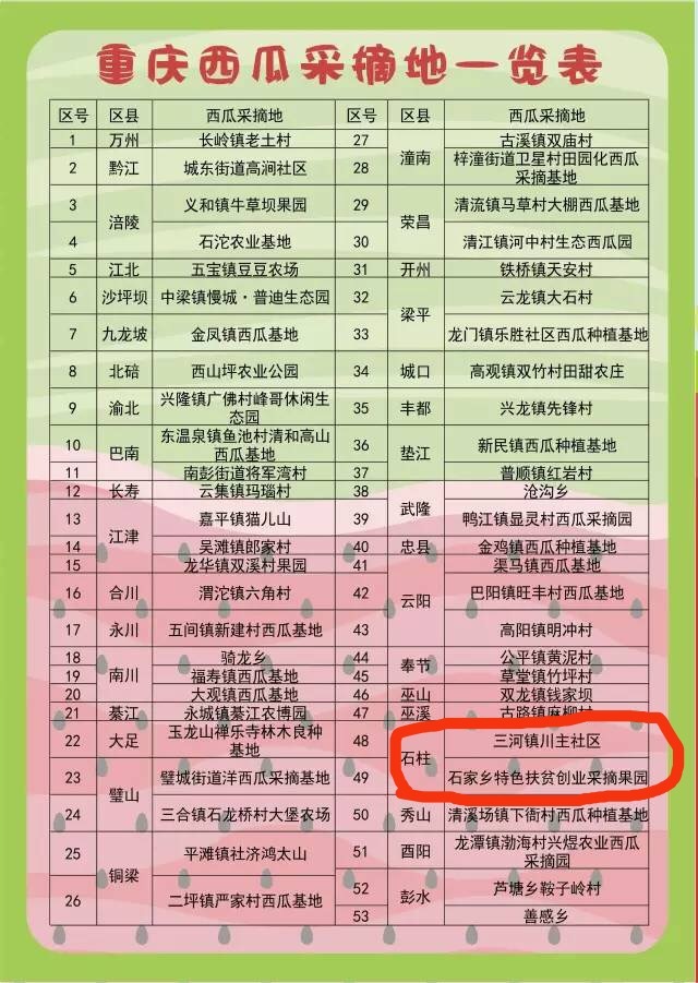 石柱“拇指姑娘”“金姑娘”开采啦!