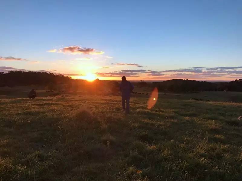 当一只“反季候鸟“，直飞到悉尼过冬天买UGG，是成都人今年暑假新玩法！