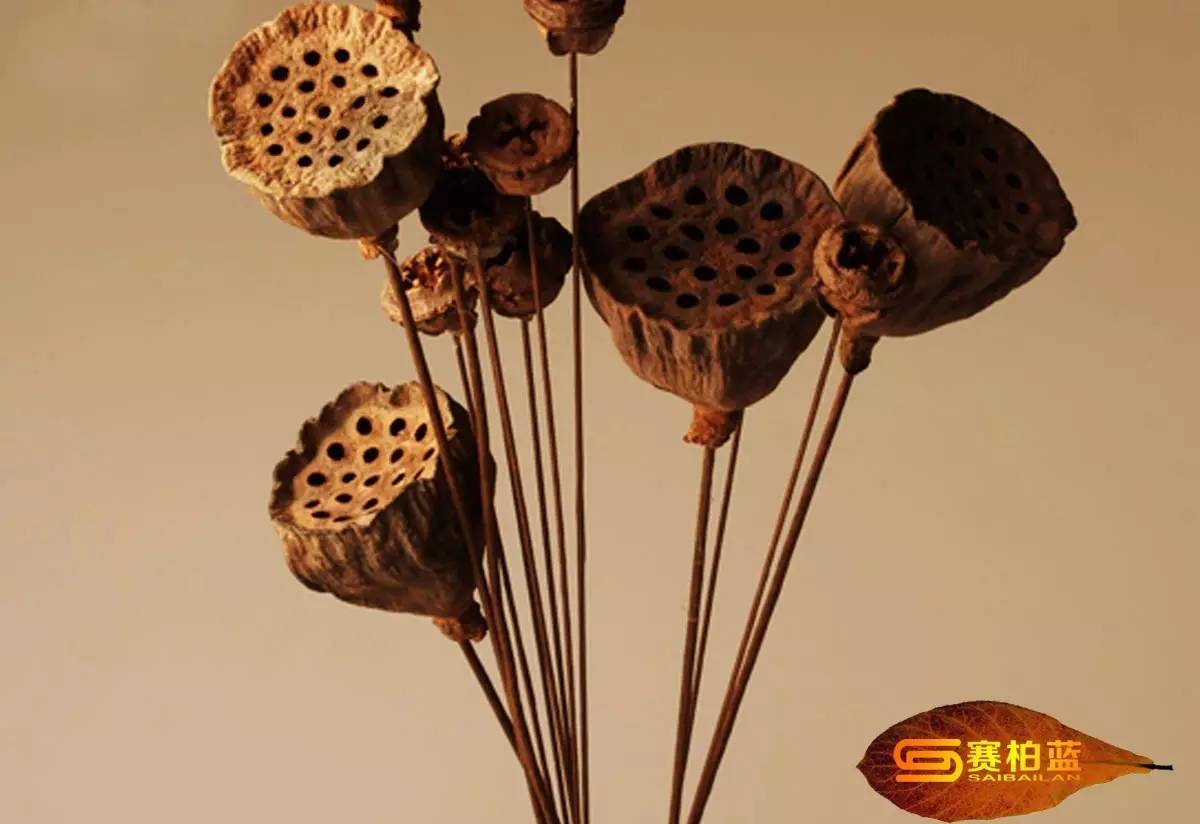 药品被列入重点监控如何解除,药品被列入重点监控对企业影响