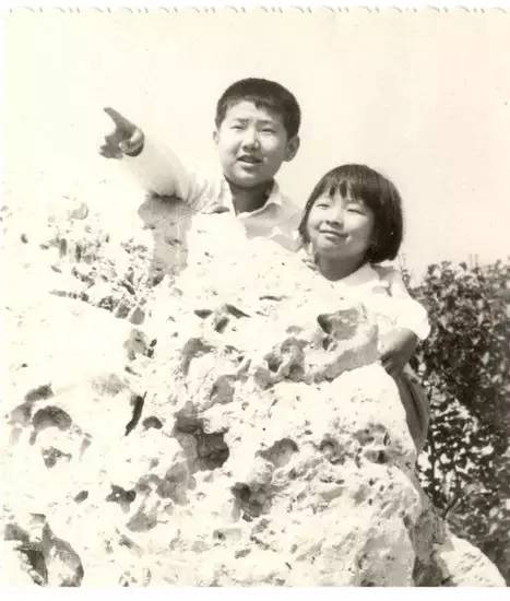 相机的第一组照片,相机里的第一只猫