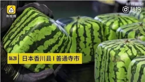 今晚读丨北京市民扎堆将天坛丹陛桥当“理疗床”