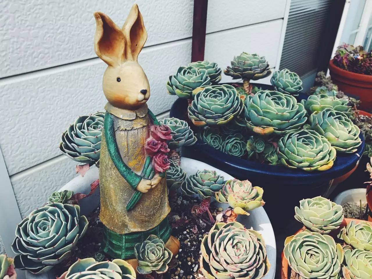 暑期日本之旅,暑假日本旅游攻略