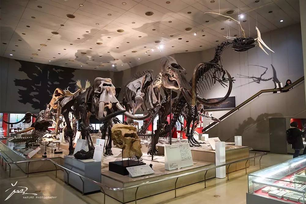 暑期日本之旅,暑假日本旅游攻略