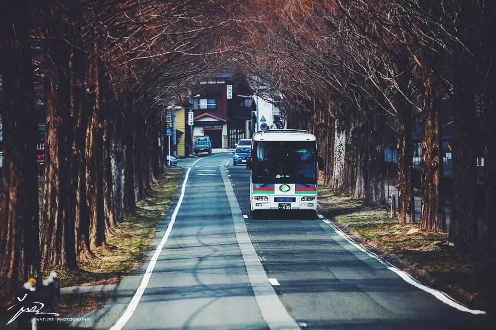 暑期日本之旅,暑假日本旅游攻略
