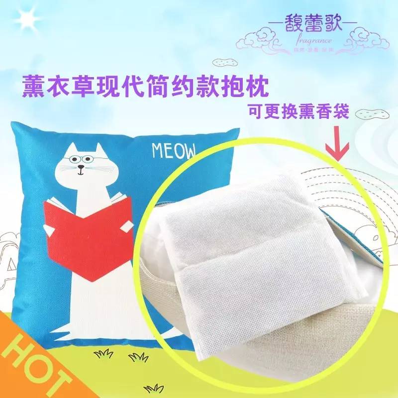 来金昌必买的东西,金昌旅游薰衣草