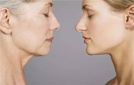 鍏斿濂界墿鍒嗕韩,鍏斿瀹炴儬濂界墿鍒嗕韩