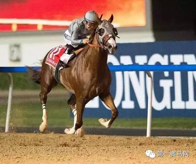 世界马王“鸠占鹊巢”已敲定重征战场计划！