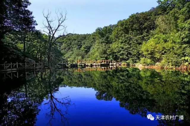 蓟州梨木台风景区旅游攻略自驾游,蓟州九龙山和梨木台是一个地方吗