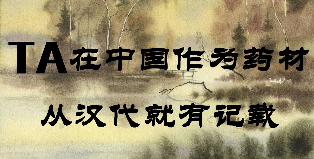 百草园有什么药材,百草园里面有什么草