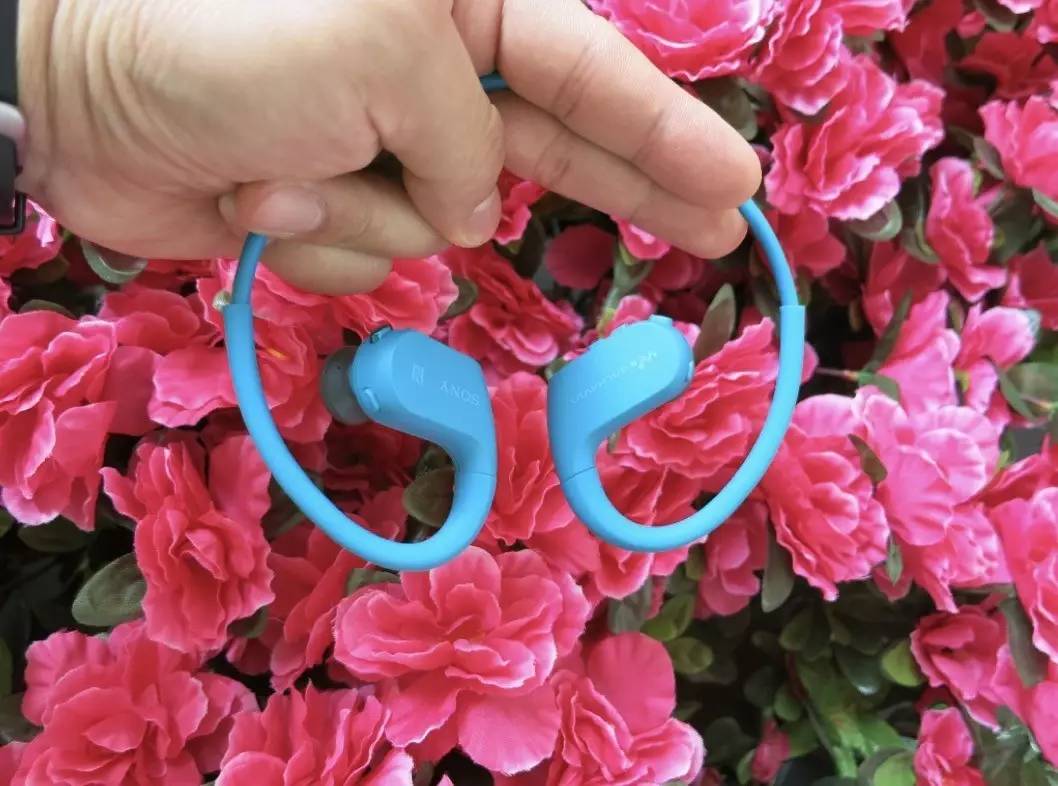 绱㈠凹nw-ws623鎬庝箞鎾斁mp3,sonyws623mp3鍔熻兘