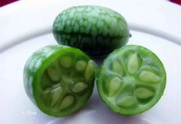 石柱“拇指姑娘”“金姑娘”开采啦!