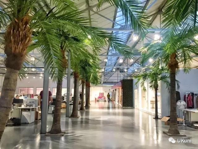 从前的我只求能够顺利毕业，如今的我有幸找到想要的人生目标，时刻珍惜身边的优质资源，计划去到更大的世界看看……