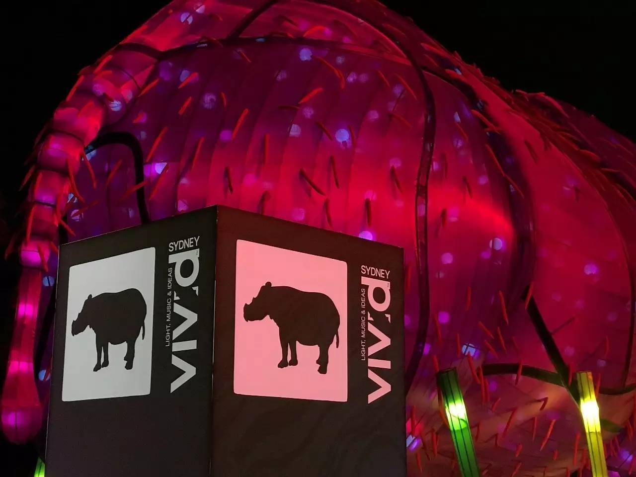 当一只“反季候鸟“，直飞到悉尼过冬天买UGG，是成都人今年暑假新玩法！