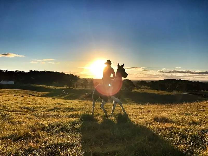 当一只“反季候鸟“，直飞到悉尼过冬天买UGG，是成都人今年暑假新玩法！