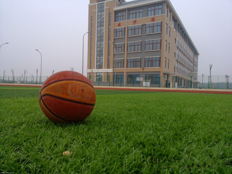 农大的一年四季都很美,美丽的农业大学