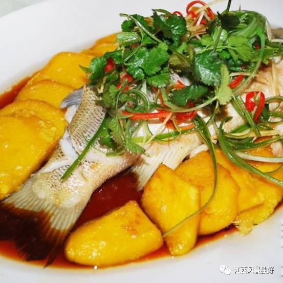 江西省奉新县旅游景点介绍视频,江西省奉新县旅游景点有哪些