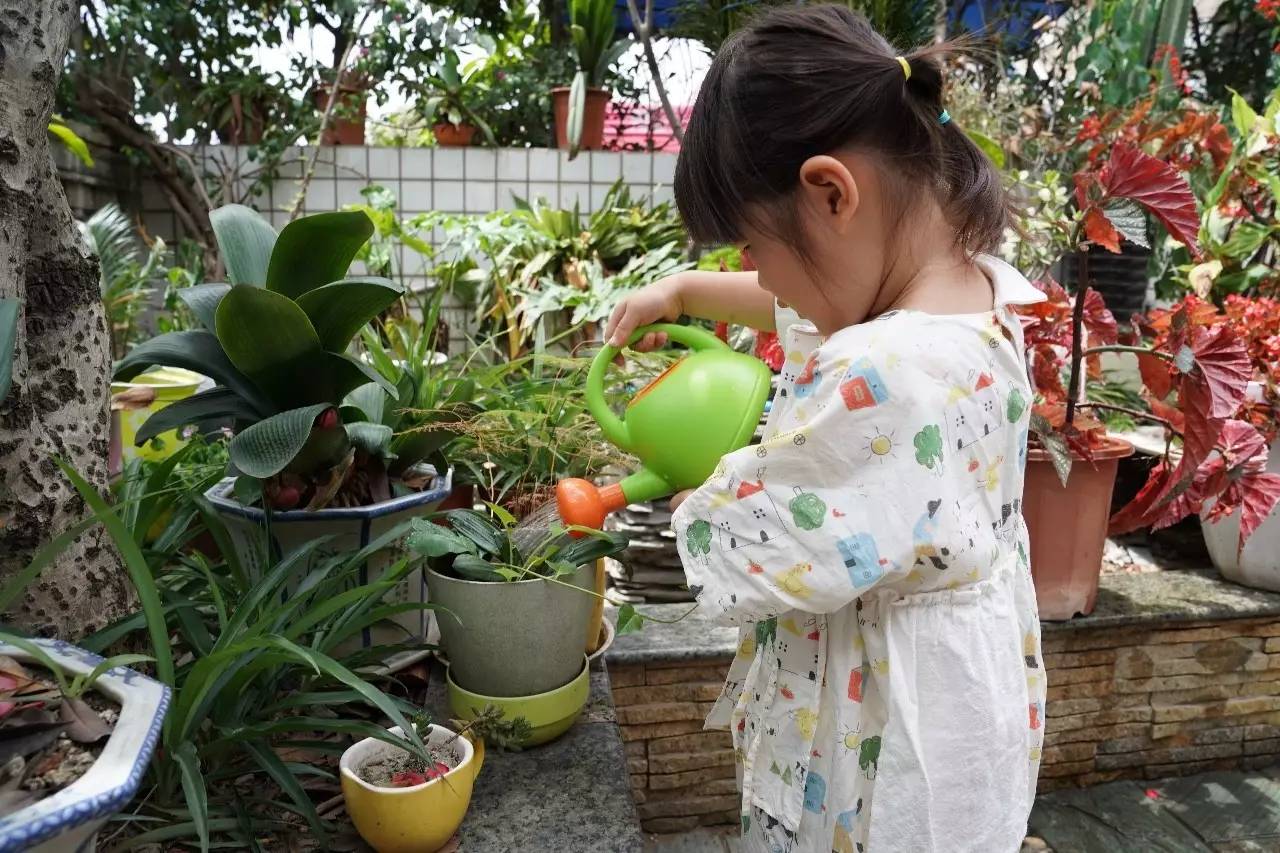 Hape儿童沙滩玩具,一年中最适合玩的沙滩玩具