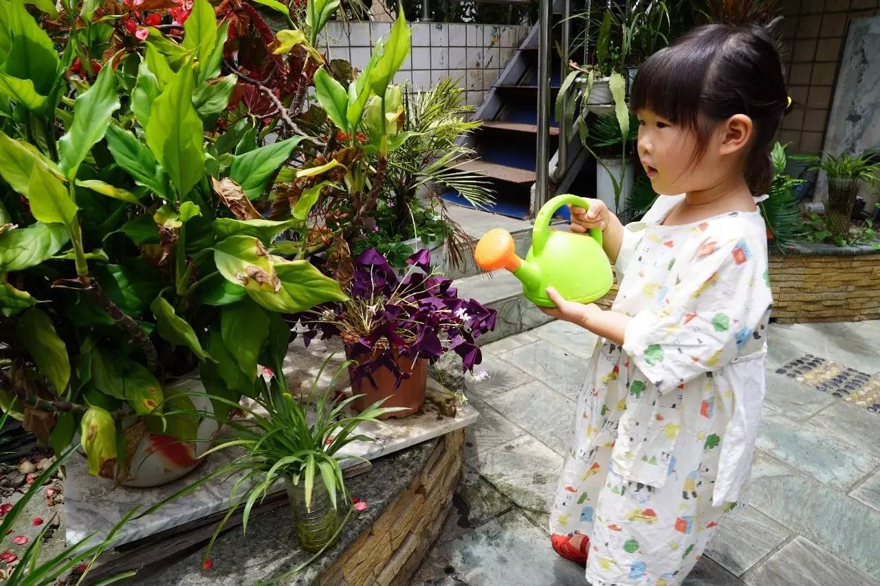 Hape儿童沙滩玩具,一年中最适合玩的沙滩玩具