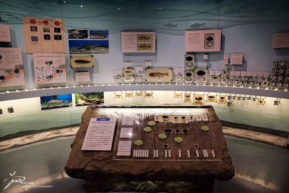 暑期日本之旅,暑假日本旅游攻略