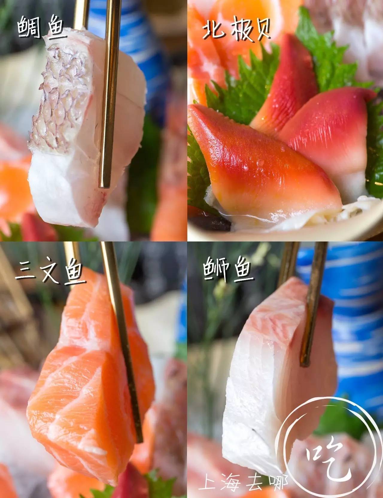 山葵芥末寿司,芥末寿司大战完整版