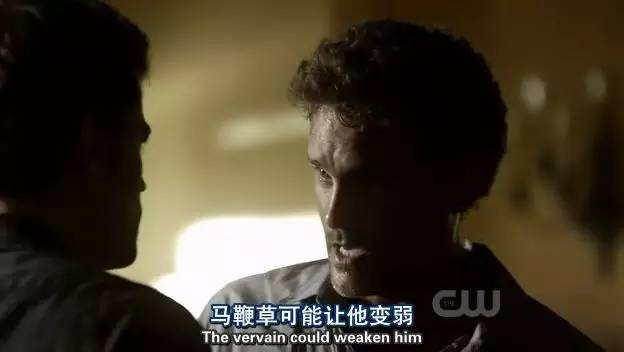 百草园有什么药材,百草园里面有什么草