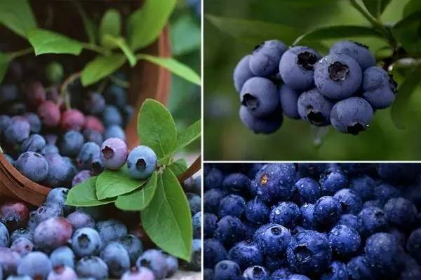 青岛最新建的开发区是哪个,青岛特色小镇