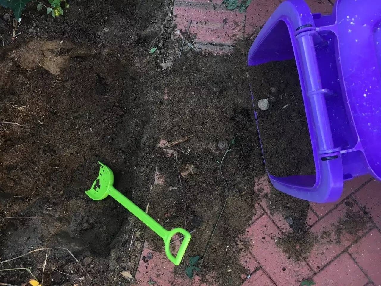 Hape儿童沙滩玩具,一年中最适合玩的沙滩玩具