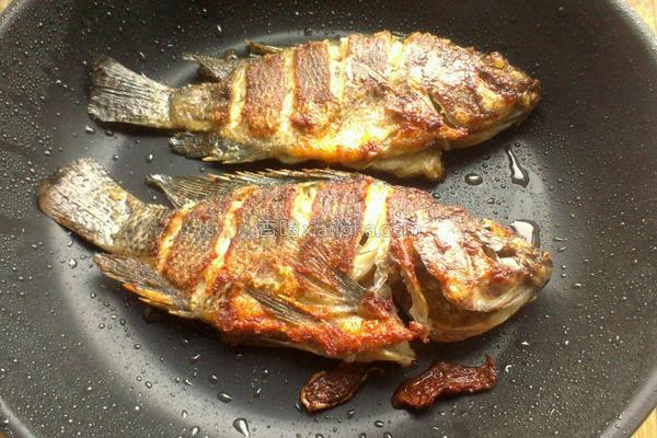 香煎鲫鱼用什么鱼最好,香煎鲫鱼汤