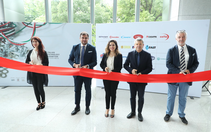 意大利专业展览会,意大利艺术博览会