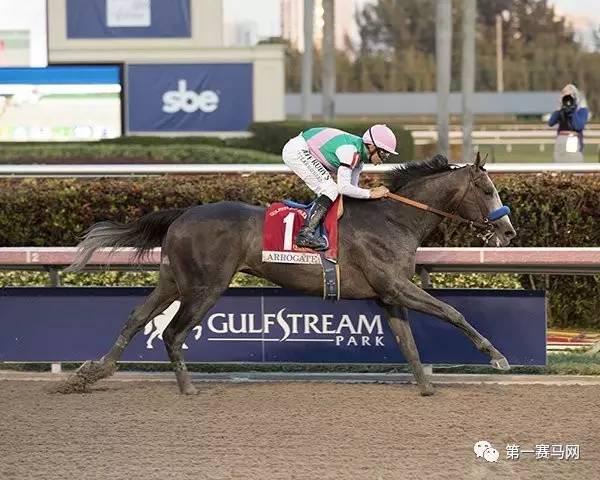 世界马王“鸠占鹊巢”已敲定重征战场计划！