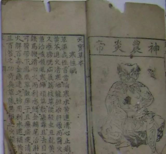 百草园有什么药材,百草园里面有什么草