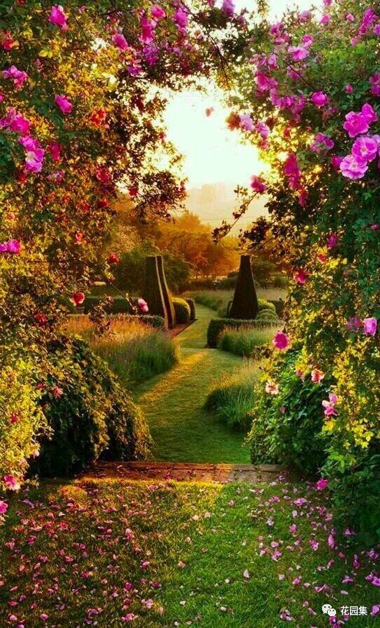 庭院美观与实用功能结合,庭院的功能解析图