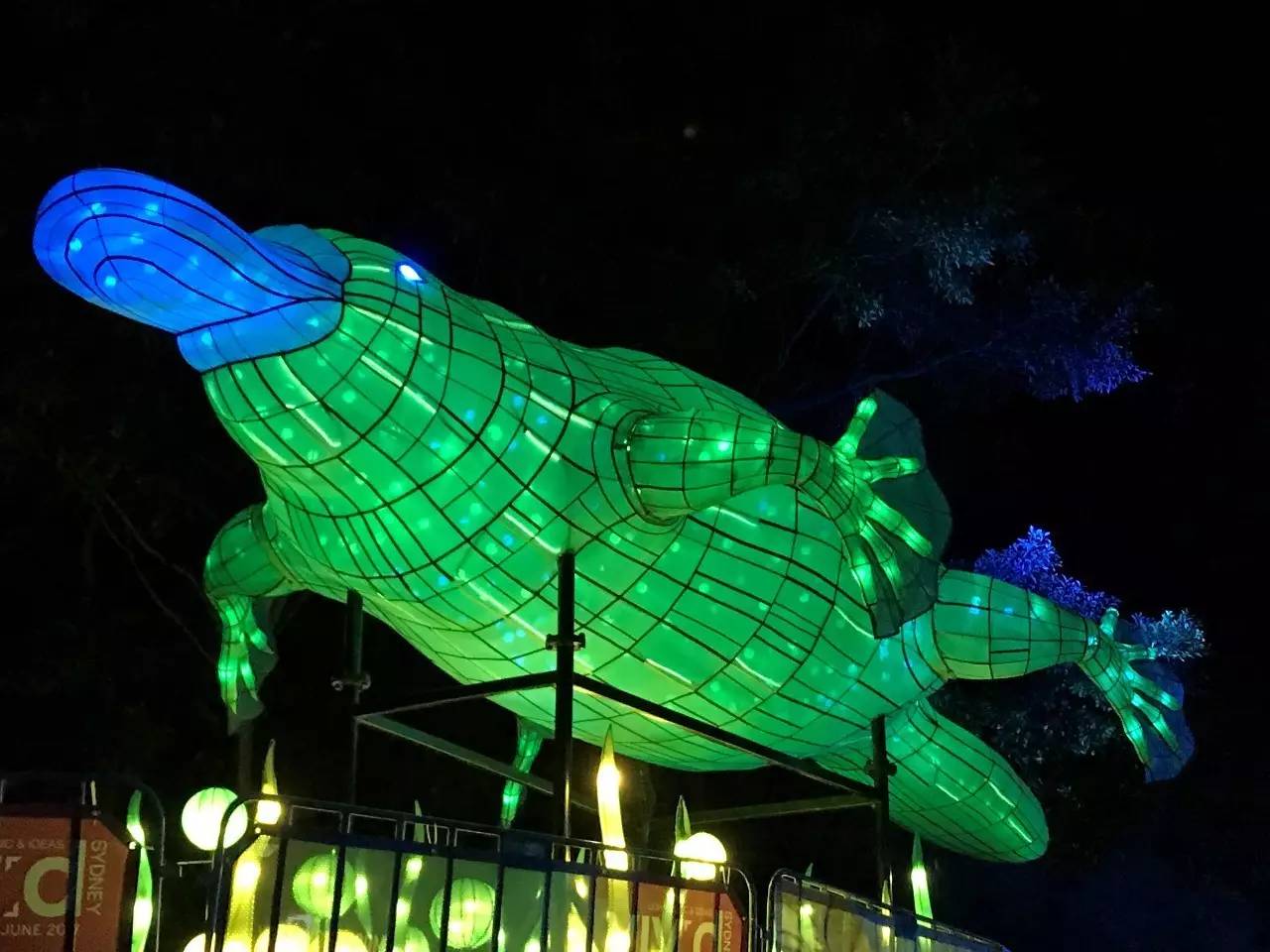 当一只“反季候鸟“，直飞到悉尼过冬天买UGG，是成都人今年暑假新玩法！