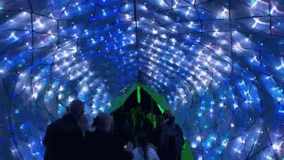 当一只“反季候鸟“，直飞到悉尼过冬天买UGG，是成都人今年暑假新玩法！