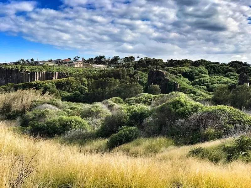 当一只“反季候鸟“，直飞到悉尼过冬天买UGG，是成都人今年暑假新玩法！