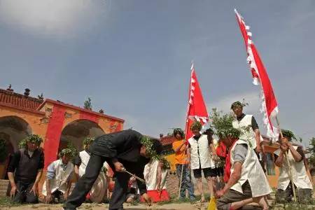 笔架山有哪些野果,笔架山桑葚