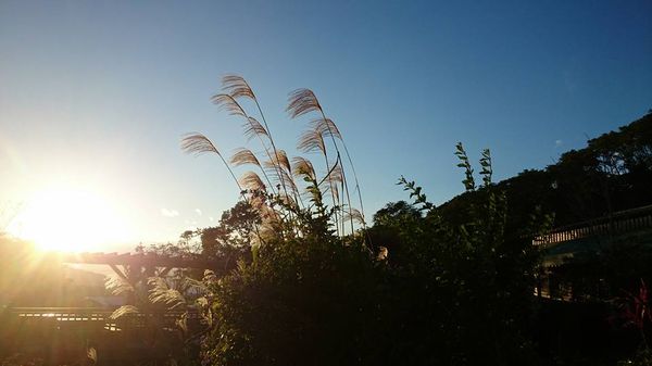淡水老城区百年老街美食推荐,淡水美景美食