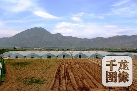 延庆永宁镇有哪里好玩,延庆永宁镇有什么特色