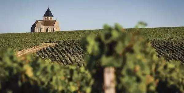 勃艮第五百左右红酒,勃艮第干红15.8度的什么价格