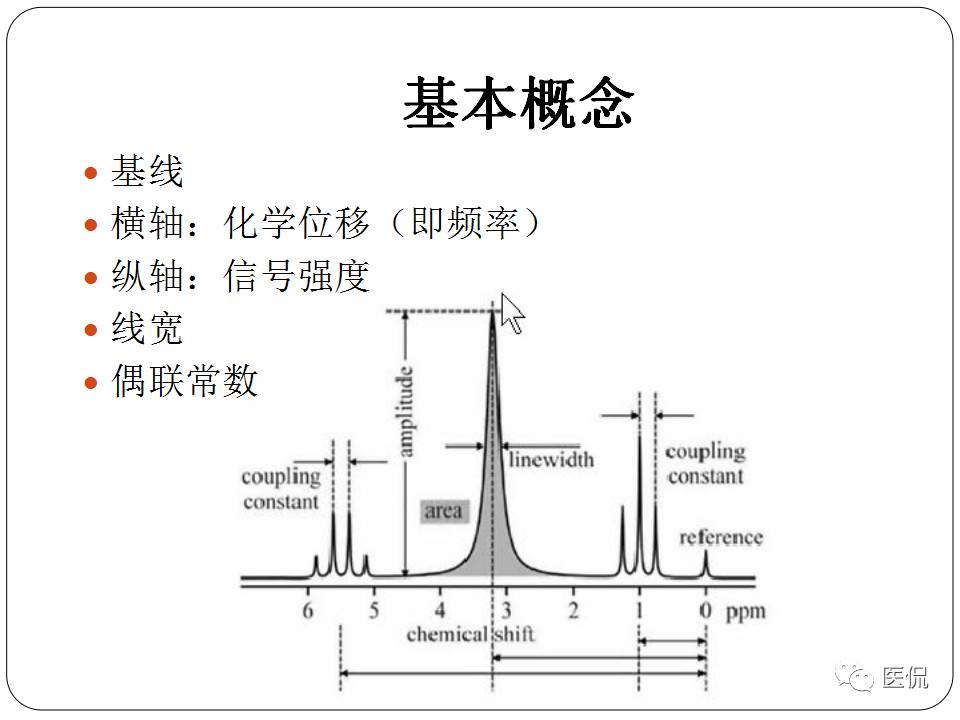 神经系统解剖ppt课件,神经内科课件ppt
