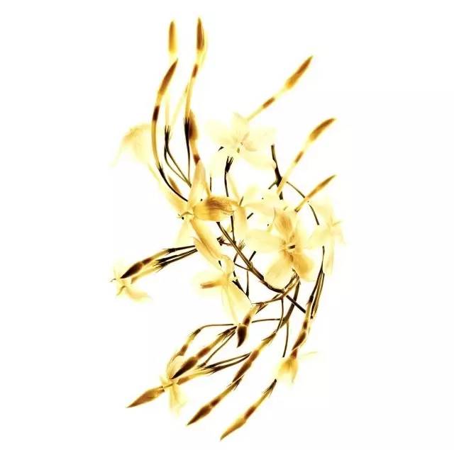 OK!FASHION|用视觉和嗅觉跟Chanel漫步巴黎