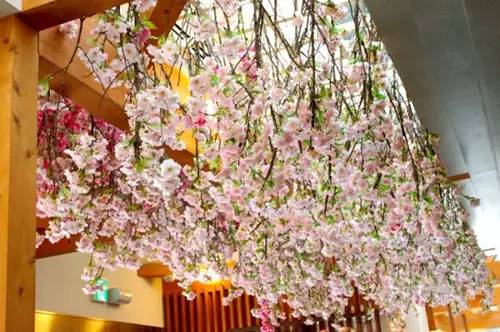 关于星爸爸的日常,星爸爸知识